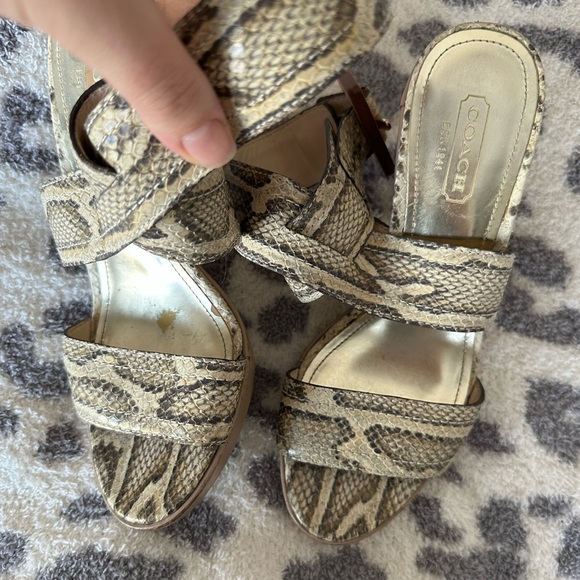 Snake Print Coach Heels - Picture 7 of 7